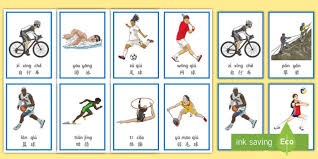 解析明尼苏达双城如何应对北境寒冷