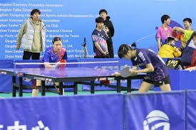 《王者荣耀》联动刘慈欣 推出琥珀纪元 平行世界皮肤